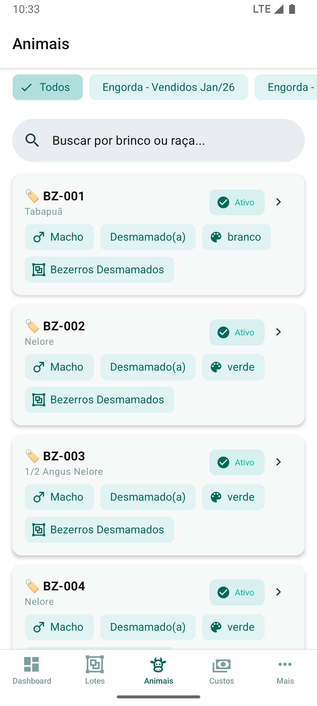 Listagem de animais do rebanho com filtros